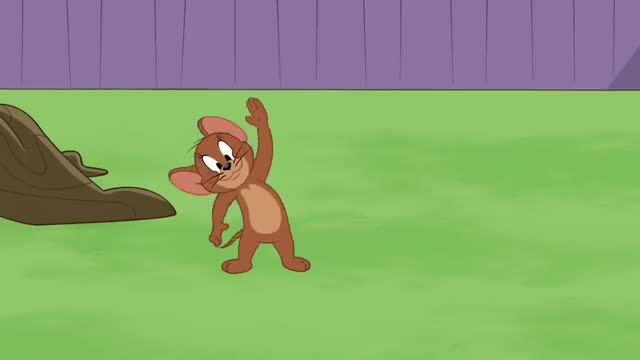 The Tom and Jerry Show   Can Tom and Spike Stop Fighting For Good   Boomerang U