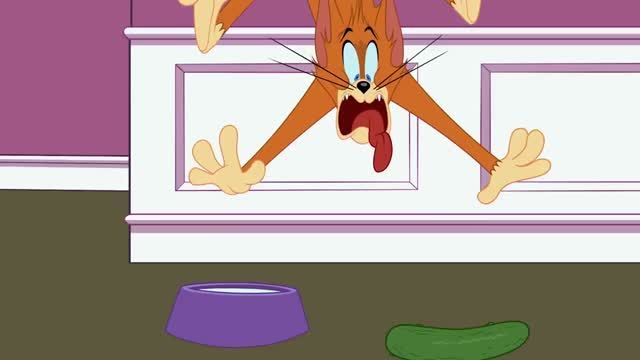 The Tom and Jerry Show   Cats vs Cucumbers   Boomerang U